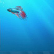 Windows 7 desktop