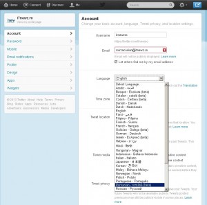 Reteaua de socializare Twitter acum in limba romana !