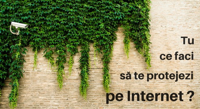 Siguranta pe Internet